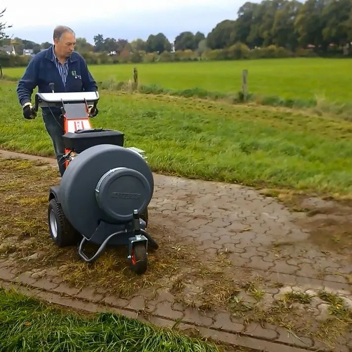 Pedestrian Blower